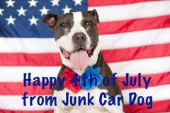 July-4th-dog