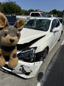 A plush toy and white sedan with a cracked windshield and dented bumper promoting cash for junk car Pembroke Pines services.